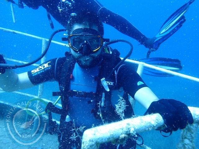 03-04 Temmuz Datça