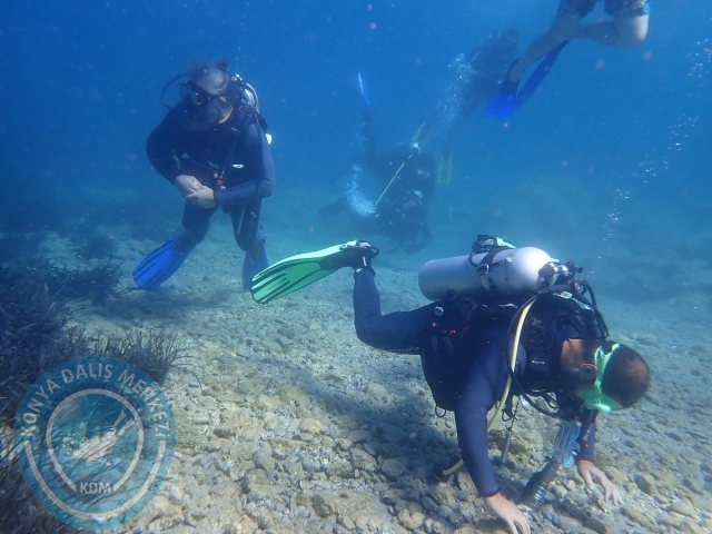 03-04 Temmuz Datça