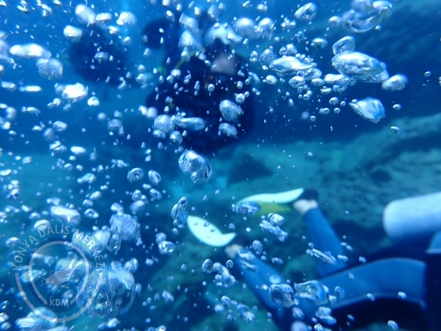 03-04 Temmuz Datça