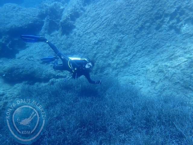03-04 Temmuz Datça
