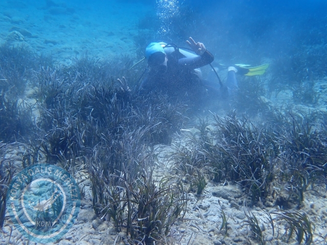 03-04 Temmuz Datça