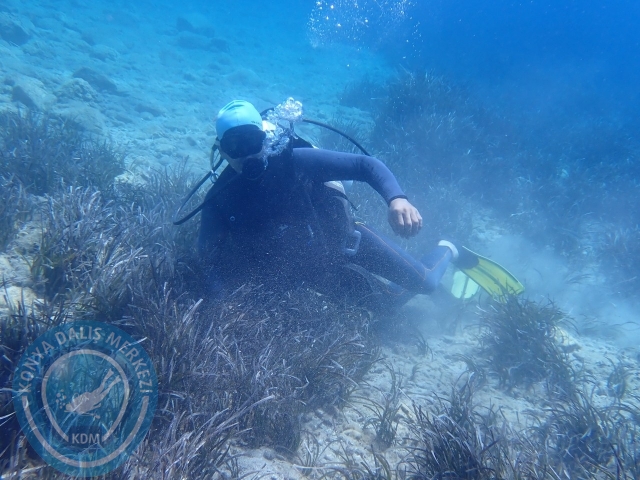 03-04 Temmuz Datça