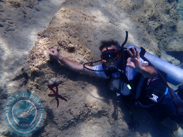 03-04 Temmuz Datça