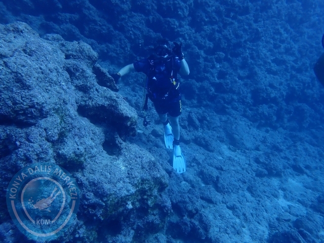 04-05 Kasım Kemer