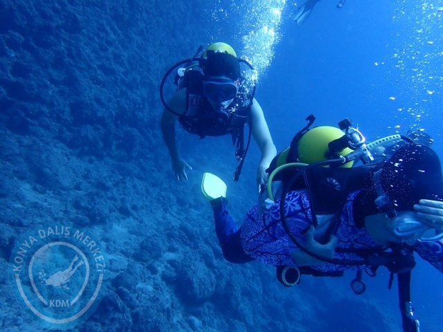 04-05 Kasım Kemer