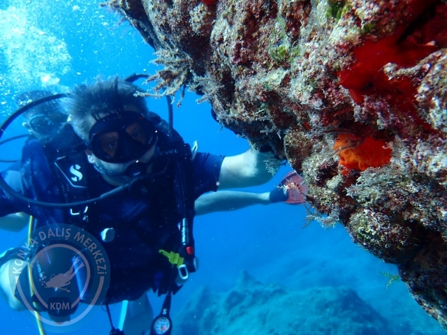 04-05 Kasım Kemer