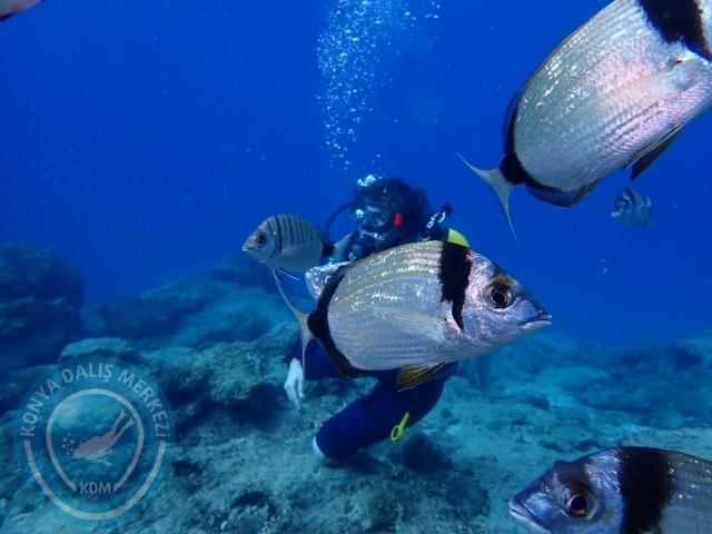 04-05 Kasım Kemer