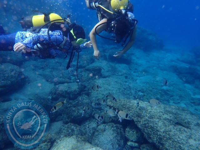 04-05 Kasım Kemer