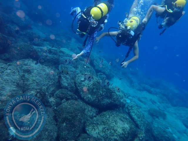 04-05 Kasım Kemer