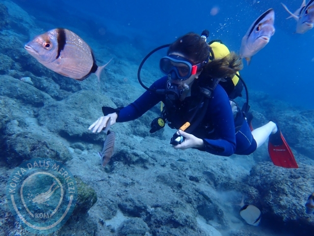04-05 Kasım Kemer