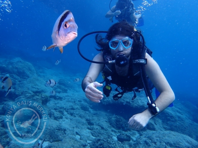 04-05 Kasım Kemer