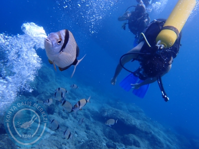 04-05 Kasım Kemer