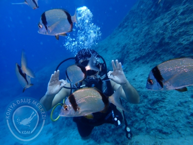 04-05 Kasım Kemer