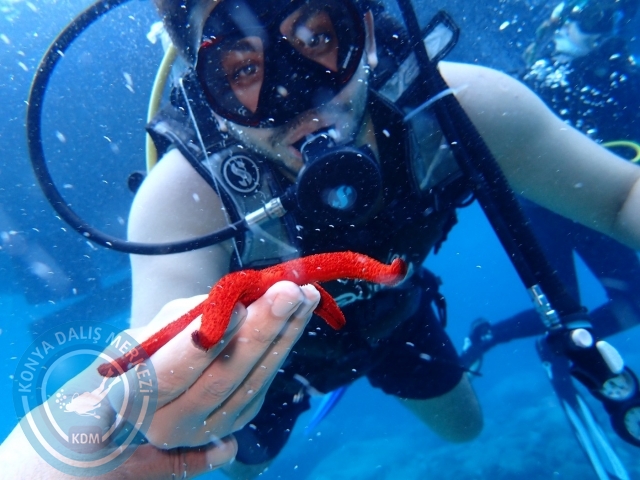 04-05 Kasım Kemer