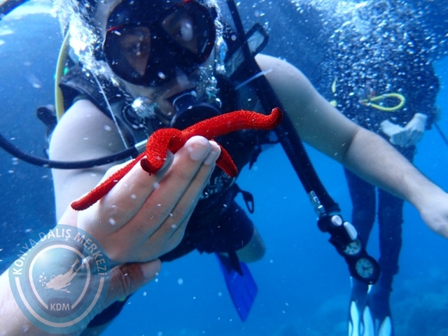 04-05 Kasım Kemer