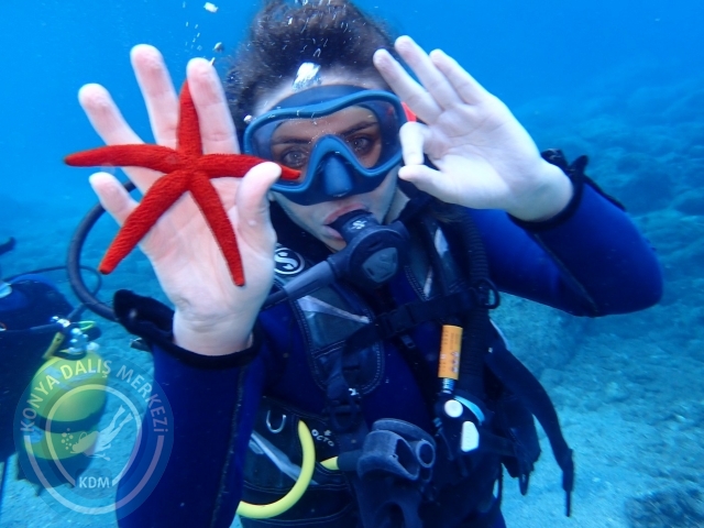 04-05 Kasım Kemer