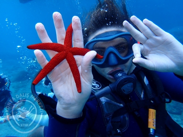 04-05 Kasım Kemer