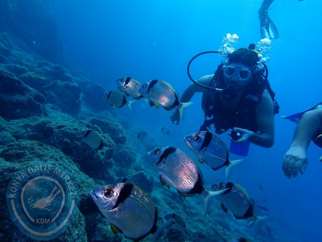 04-05 Kasım Kemer