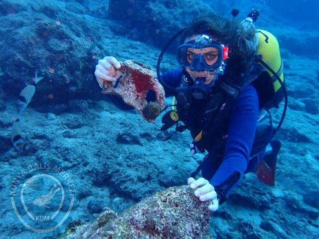 04-05 Kasım Kemer
