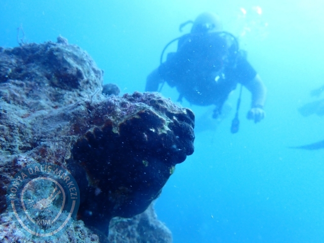 04-05 Kasım Kemer