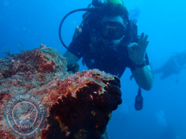 04-05 Kasım Kemer