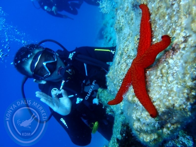 04-05 Temmuz BODRUM