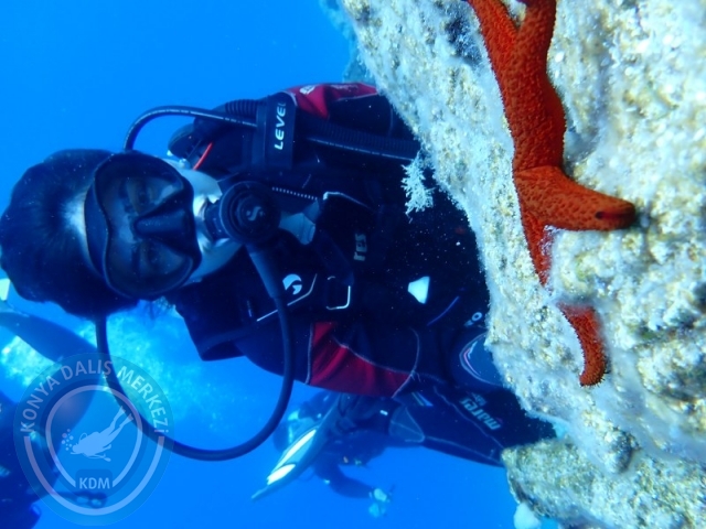 04-05 Temmuz BODRUM