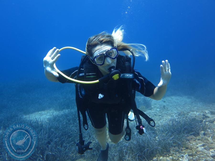 05-06 Ağustos 2017 BODRUM