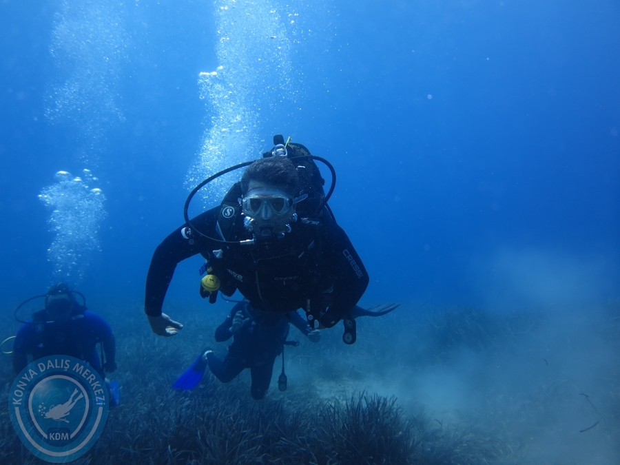 05-06 Ağustos 2017 BODRUM