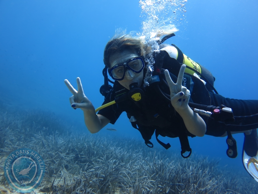 05-06 Ağustos 2017 BODRUM