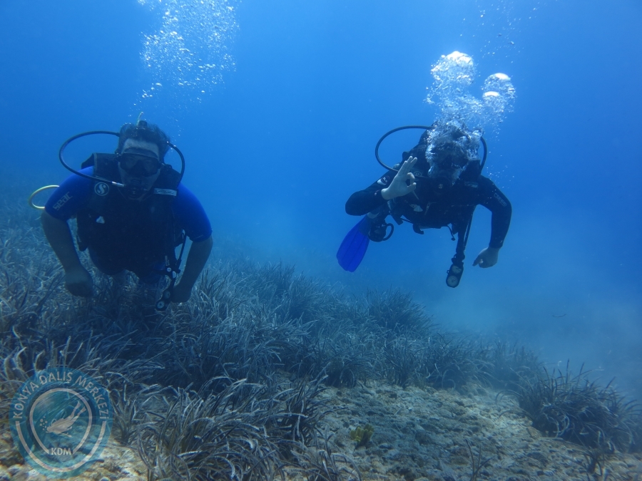 05-06 Ağustos 2017 BODRUM