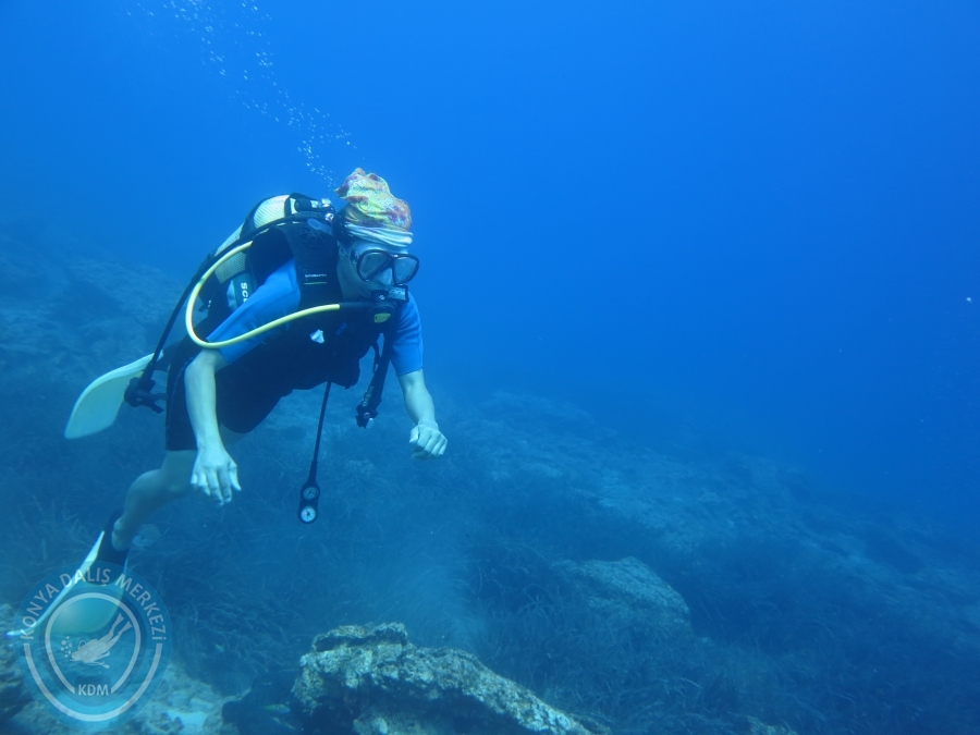 05-06 Ağustos 2017 BODRUM