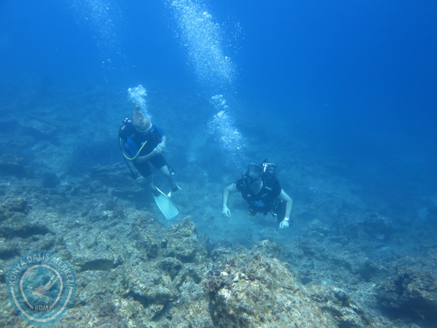 05-06 Ağustos 2017 BODRUM