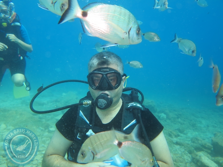 05-06 Ağustos 2017 BODRUM