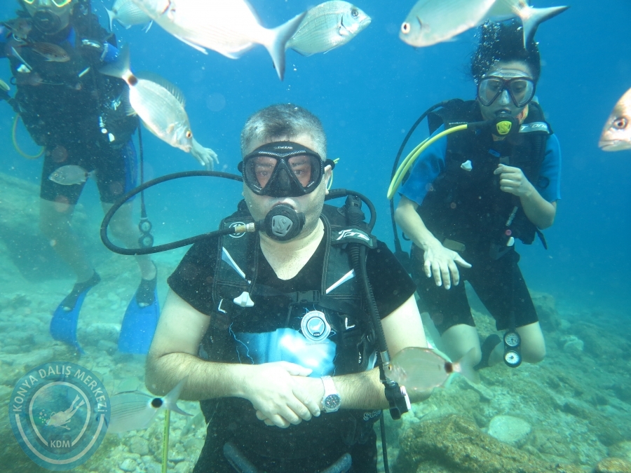 05-06 Ağustos 2017 BODRUM