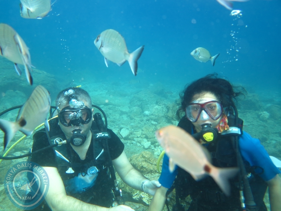 05-06 Ağustos 2017 BODRUM
