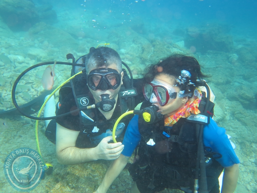 05-06 Ağustos 2017 BODRUM