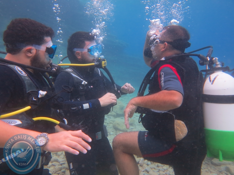 05-06 Ağustos 2017 BODRUM