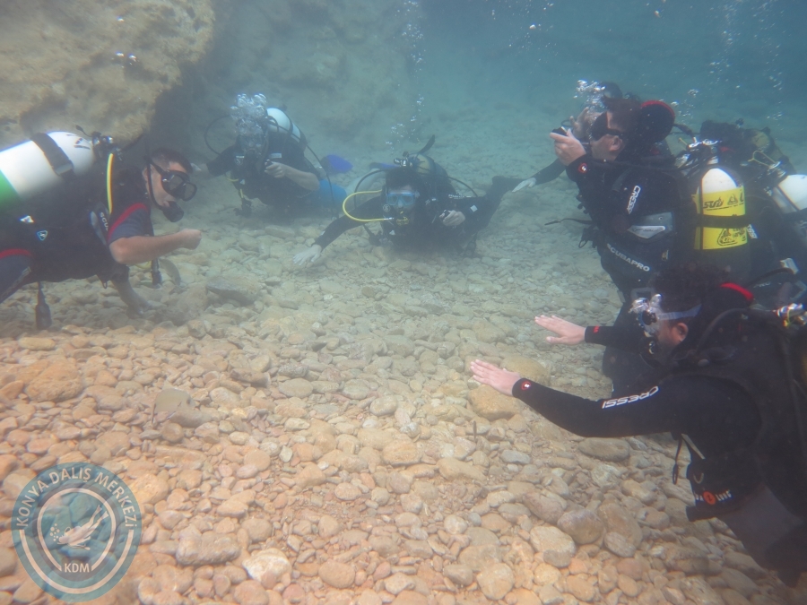 05-06 Ağustos 2017 BODRUM