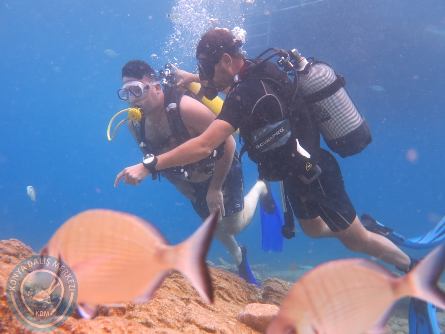 05-06 Ağustos 2017 BODRUM