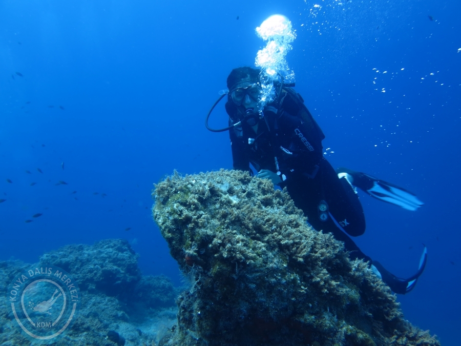 05-06 Ağustos 2017 BODRUM