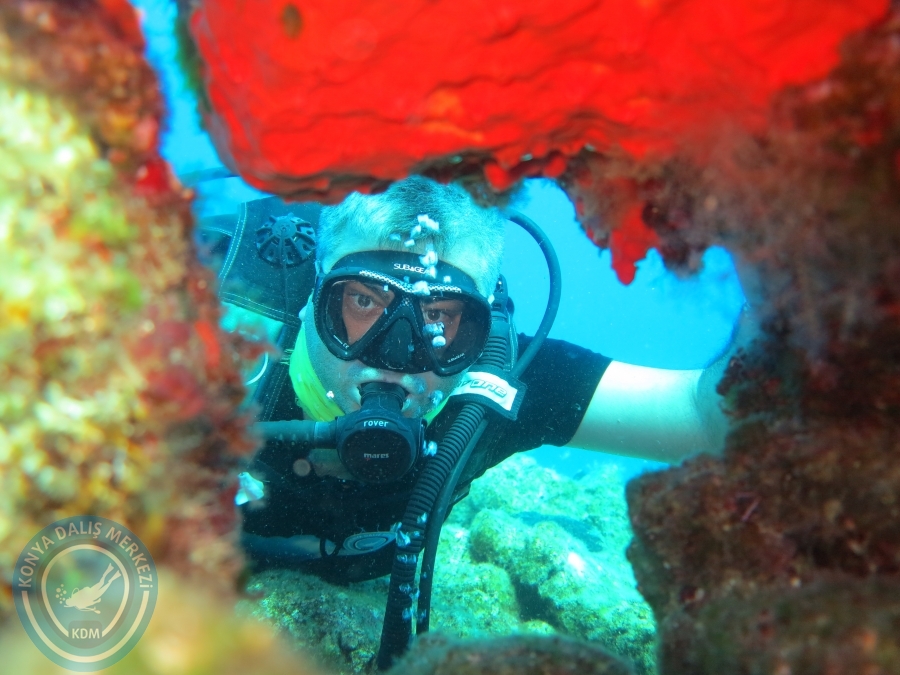 05-06 Ağustos 2017 BODRUM