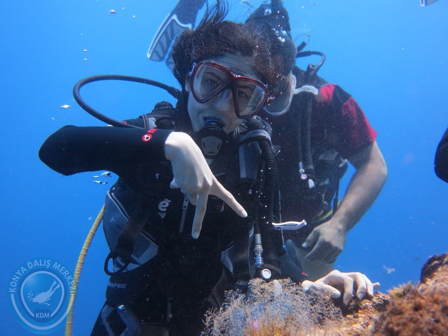 05-06 Ağustos 2017 BODRUM