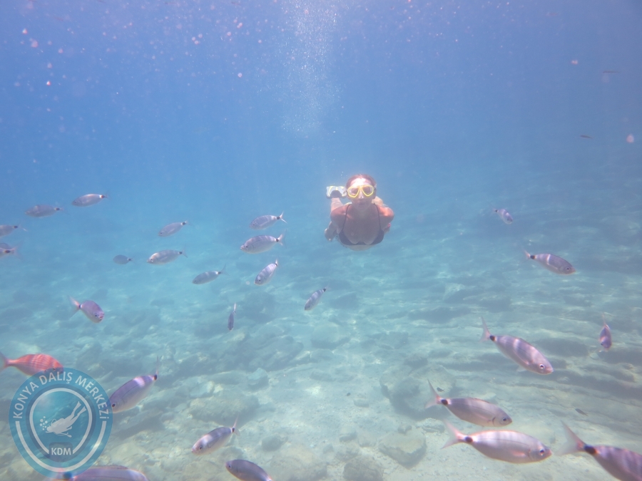 05-06 Ağustos 2017 BODRUM