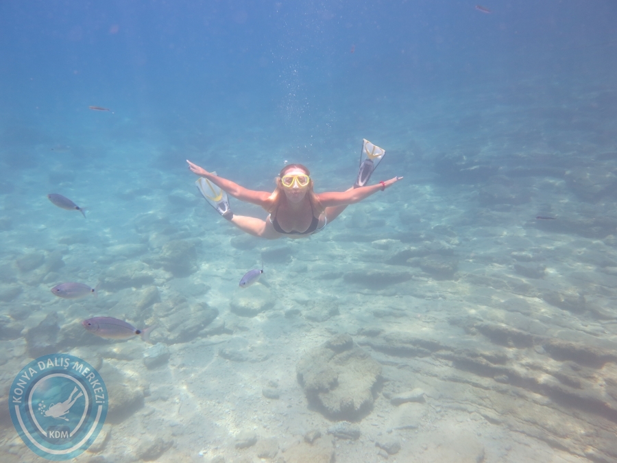 05-06 Ağustos 2017 BODRUM