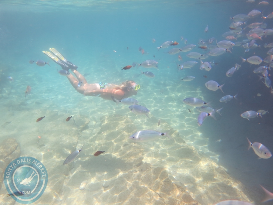 05-06 Ağustos 2017 BODRUM