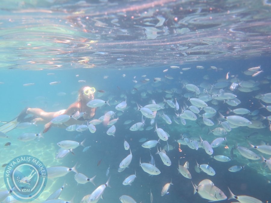 05-06 Ağustos 2017 BODRUM