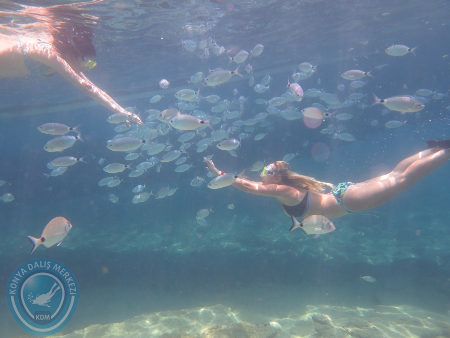 05-06 Ağustos 2017 BODRUM