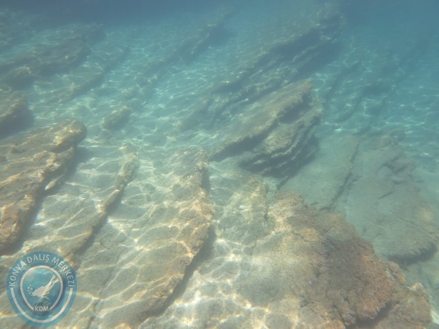 05-06 Ağustos 2017 BODRUM