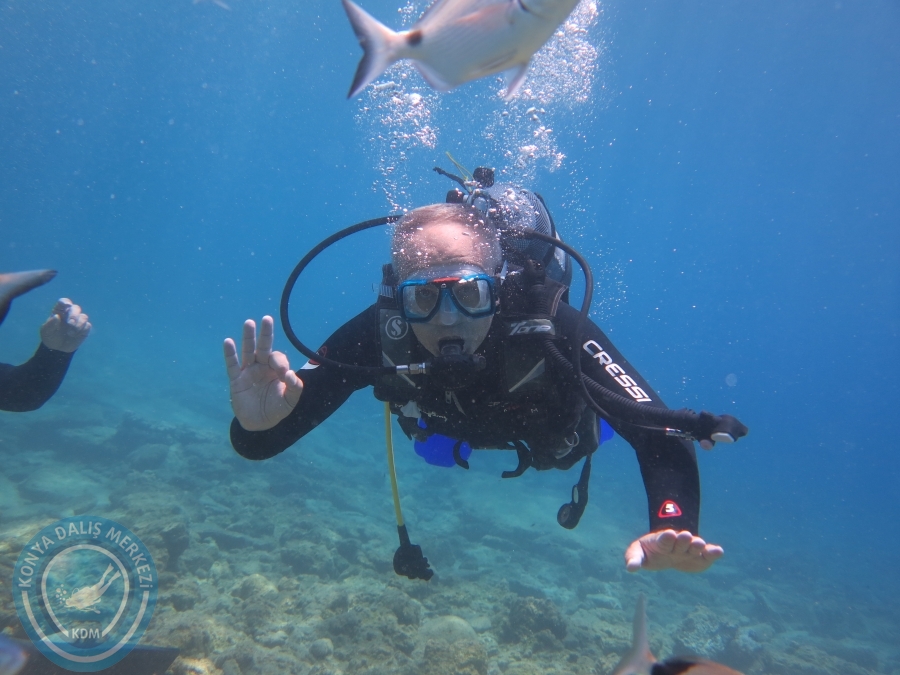 05-06 Ağustos 2017 BODRUM